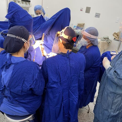 curso de histerectomía vaginal cirugía1