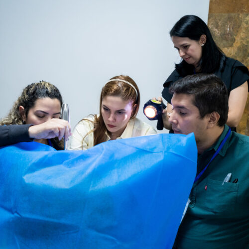 Curso Histerectomía Vaginal