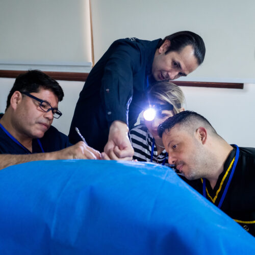 Curso Histerectomía Vaginal